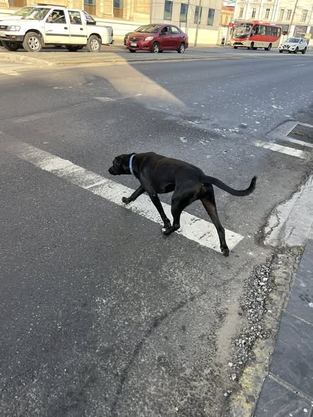 Valparaiso, plaza Echaurren